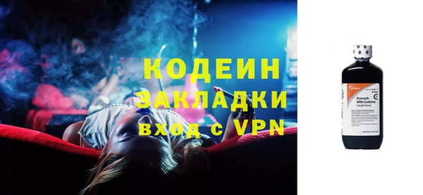 твердый Бердск