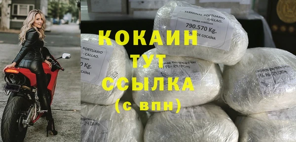 дживик Михайловск