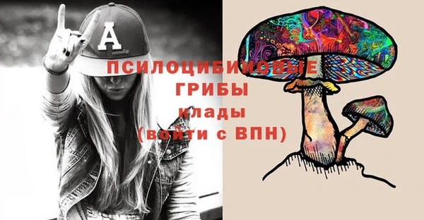 дживик Михайловск