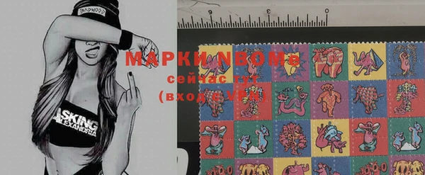 apvp Надым