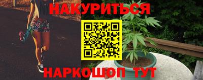 скорость Будённовск