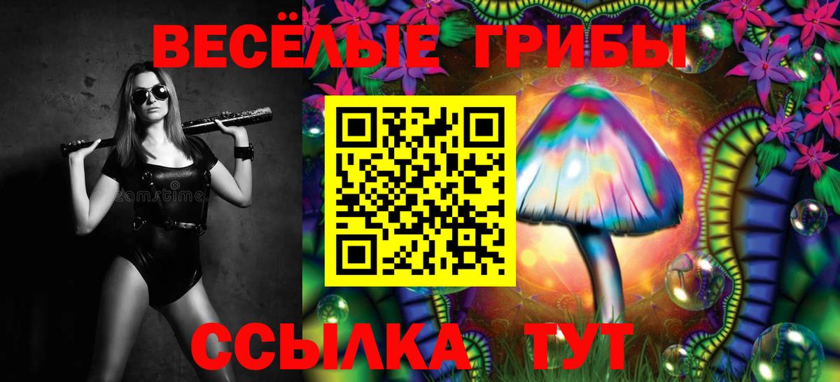Экстази  Канабис  Миллерово  Меф МЯУ МЯУ   Вейп ТГК  Вход с VPN  Гашиш  МЕФ  Альфа ПВП СК  