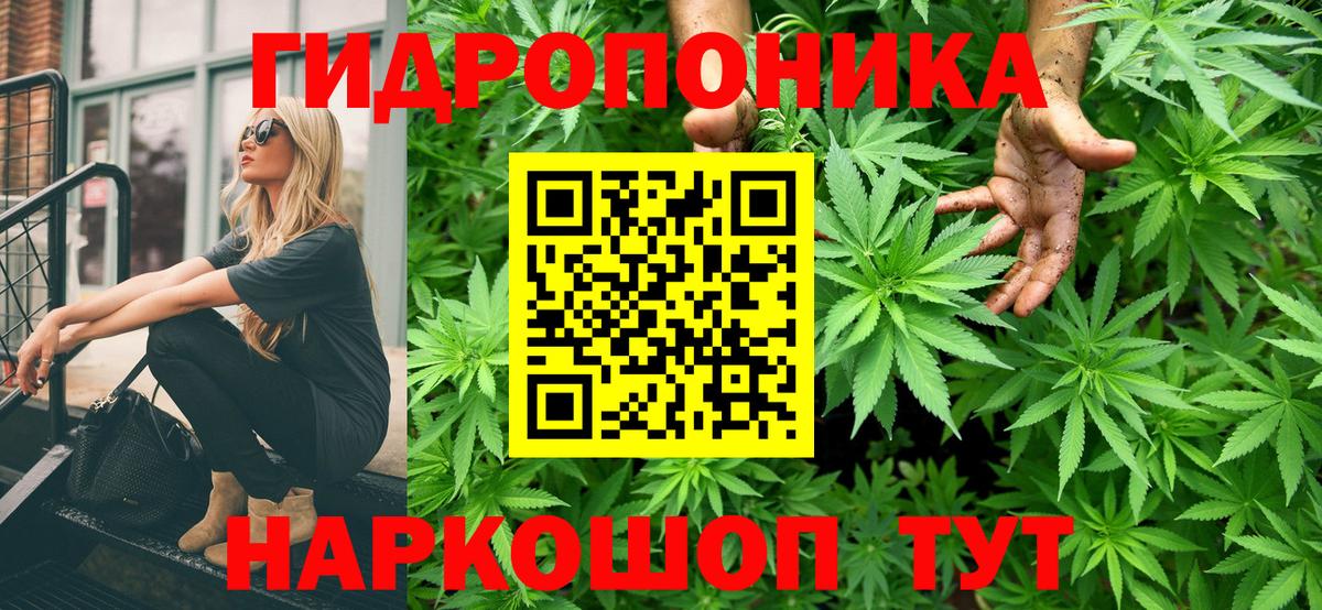 Каннабис семена  Марихуана индика  Вход с VPN  Бошки марихуана LSD WEED  Миллерово 